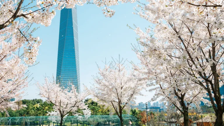 Best Places to Visit in Asia in Spring