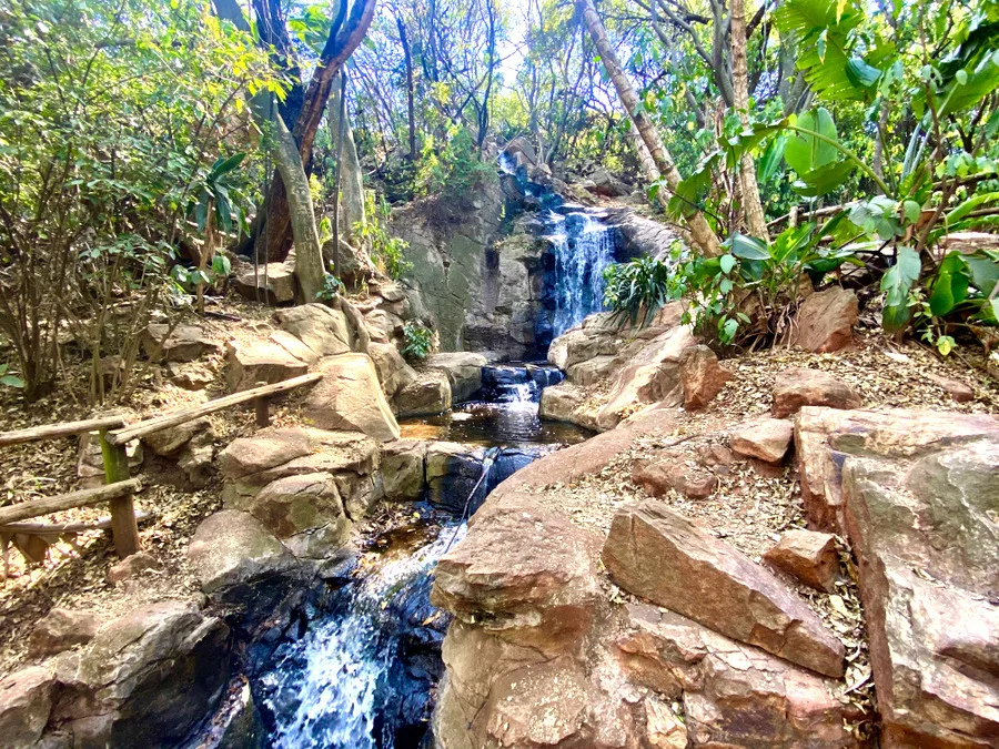 Hiking Trails Johannesburg