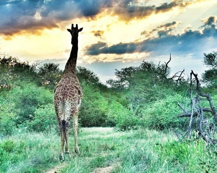 Popular Solo Travel Destination in South Africa